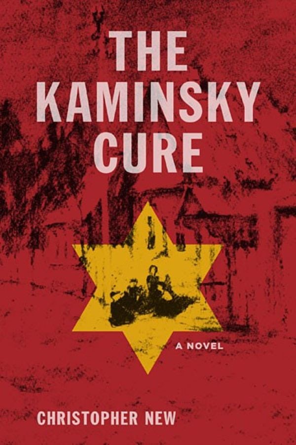 Book cover image for The Kaminsky Cure ISBN: 9781504035637